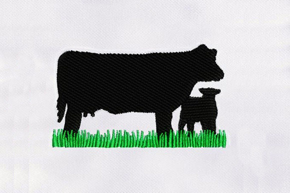 Black Angus Cattle: A Designer’s Review