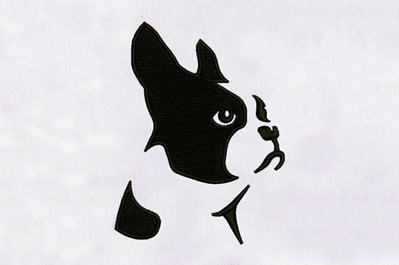 Boston Dog Embroidery: A Designer’s Honest Review