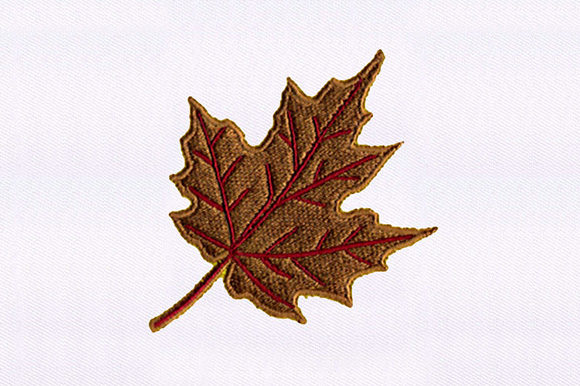 Brown Maple Leaf Design: A Designer’s Review